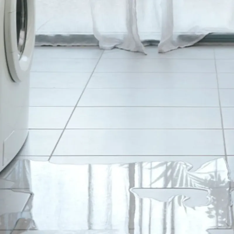 Appliance Leak Cleanup in Carencro, LA