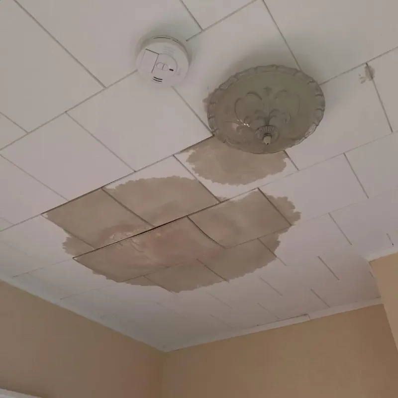 Ceiling Water Damage Repair in Carencro, LA